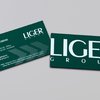 визитная карточка liger group