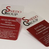 Пластиковая визитка для коммерческого директора Snedo Group