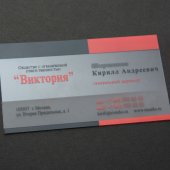 Пластиковая визитка генерального директора ООО Виктория